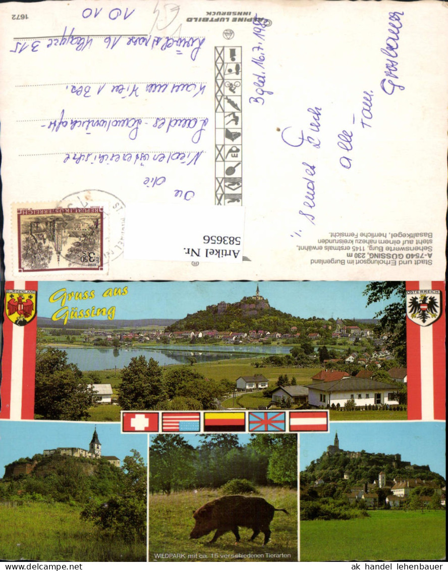583656,Mehrbild Ak Güssing Burg Wildpark Wildschwein pub Alpine Luftbild