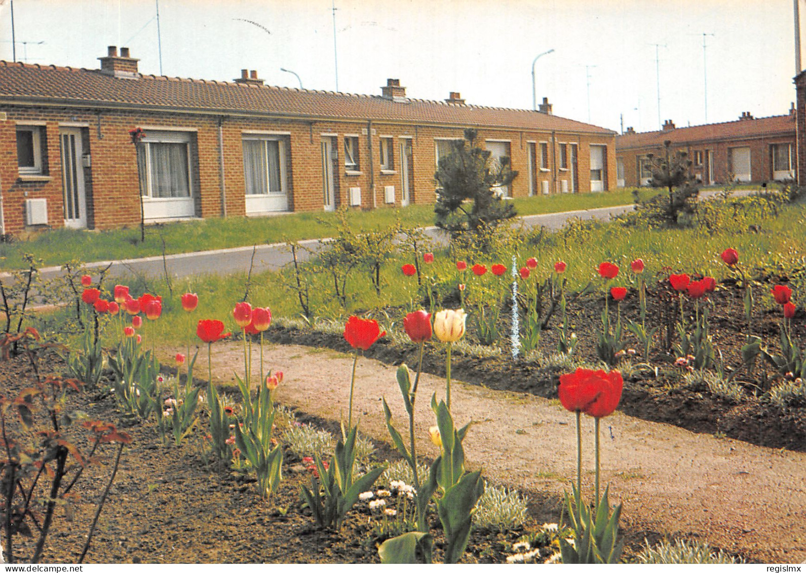59-BRUAY SUR ESCAUT-N°T2184-C/0375