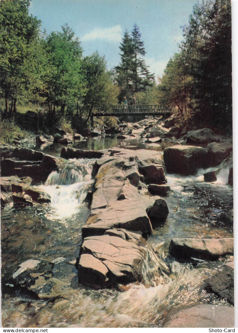 59 GRANDE SYNTHE CARTE POSTALE