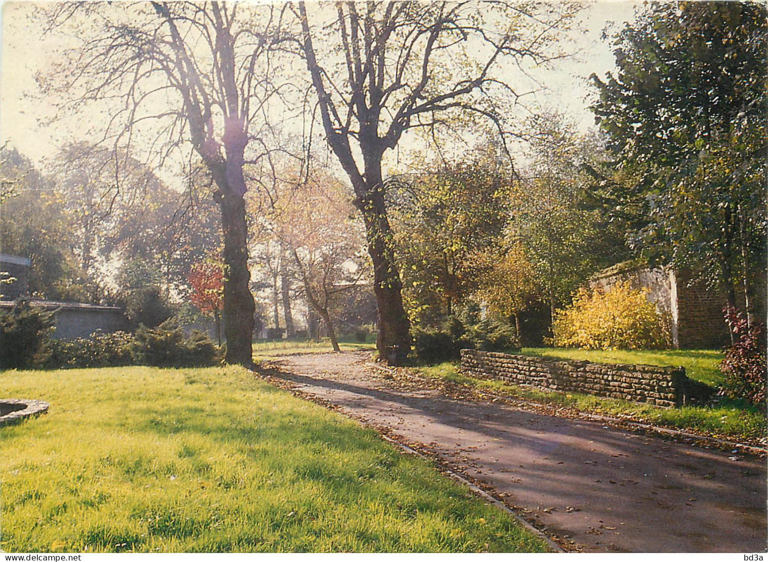 59 VIEUX CONDE VUE DU PARC