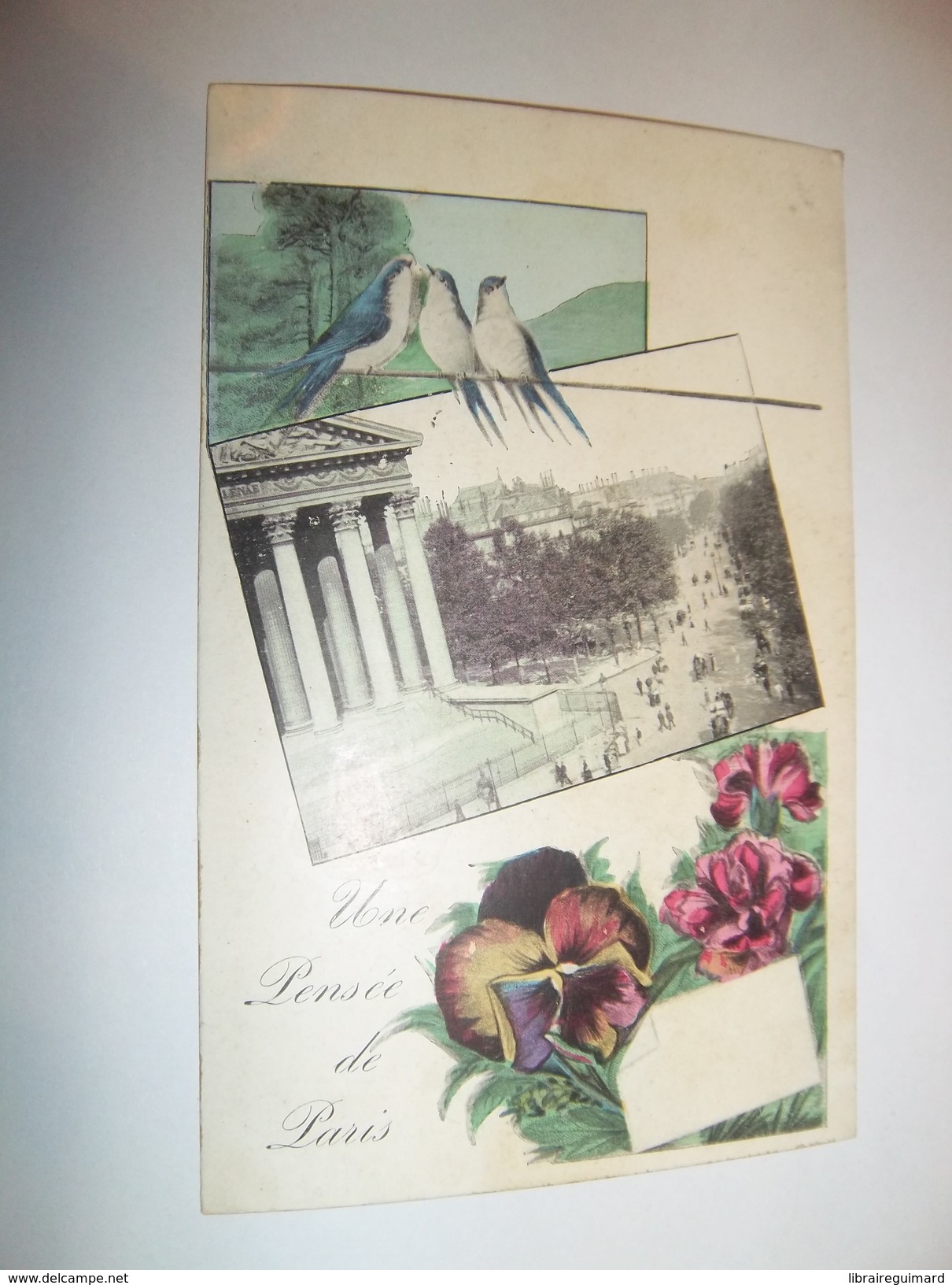 5bet - CPA - Pensée de Paris - Paris -  [75] - Paris -