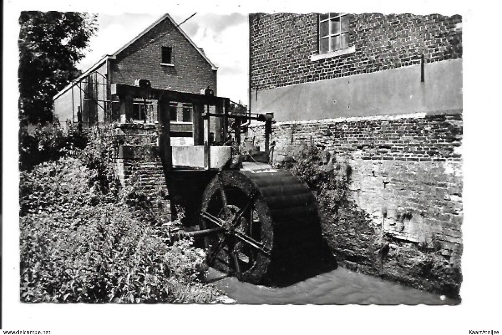 6 Kaarten Bertem......