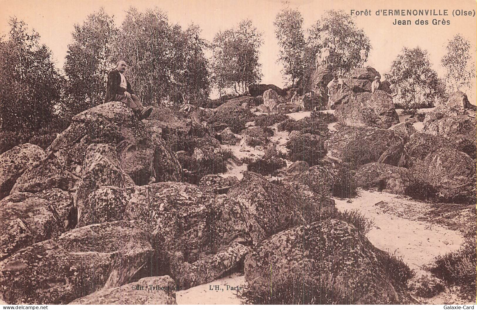 60 ERMENONVILLE FORET D ERMENONVILLE