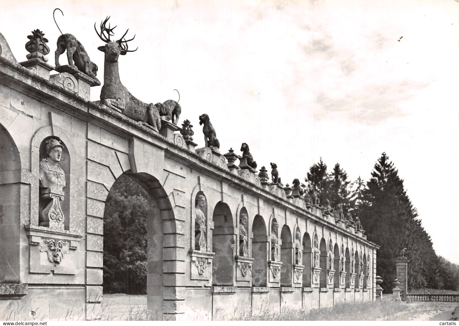 60-RARAY-N°C-4353-B/0249