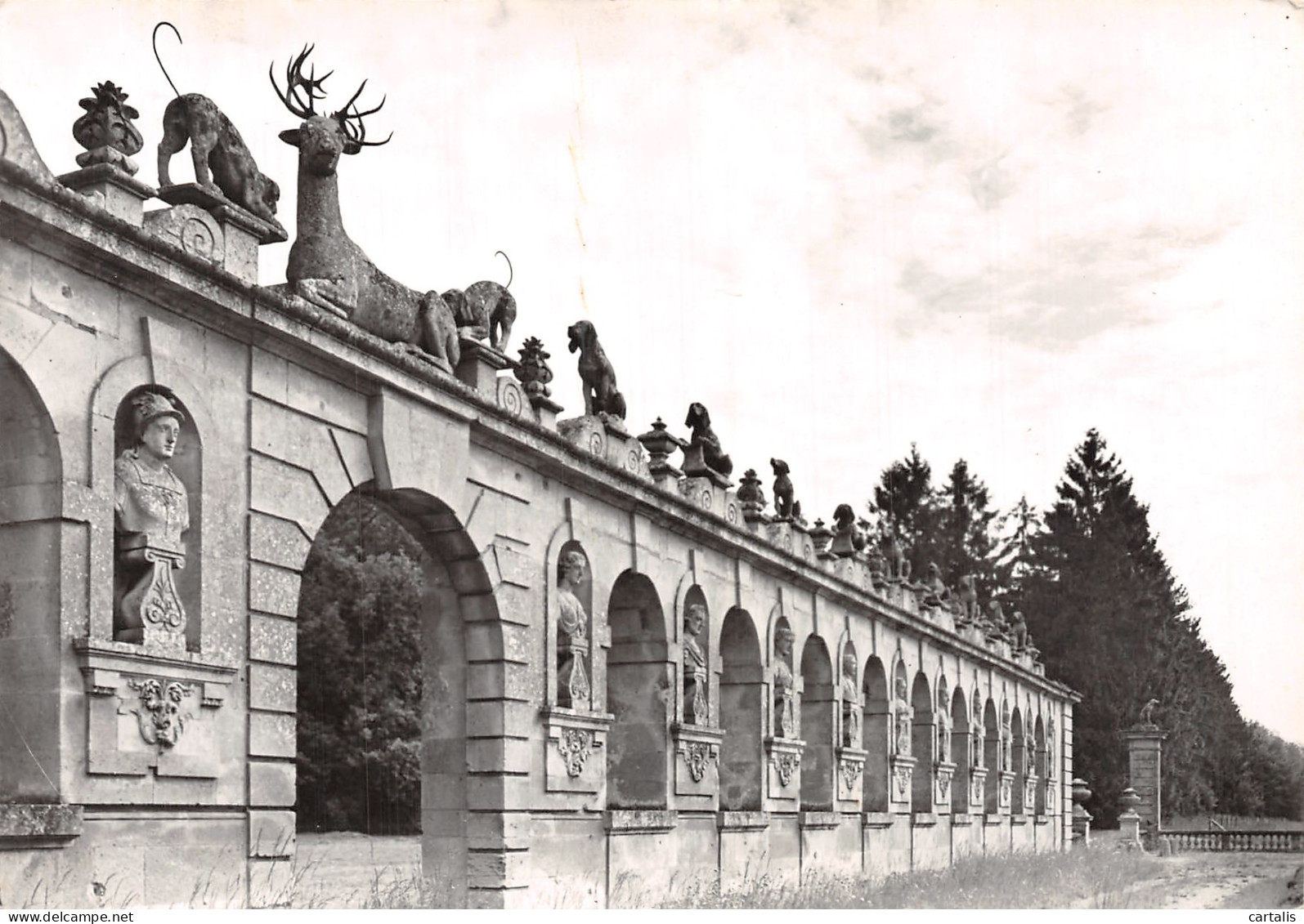 60-RARAY-N°C-4357-C/0185