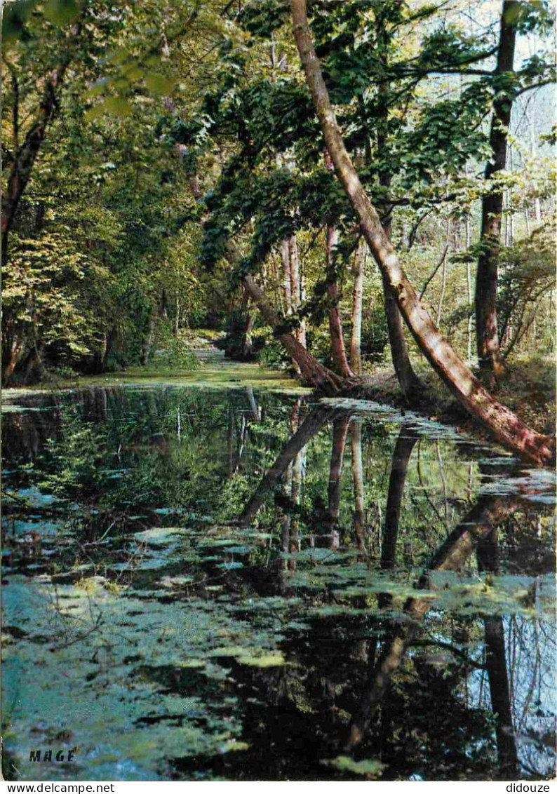 60 - Saint Just en Chaussée - L'Aré - CPM - Voir Scans Recto-Verso