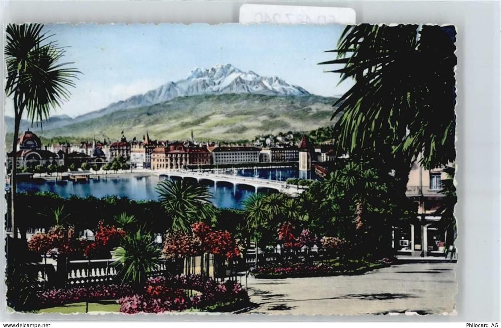 6000 Luzern Lucerne - 50487240