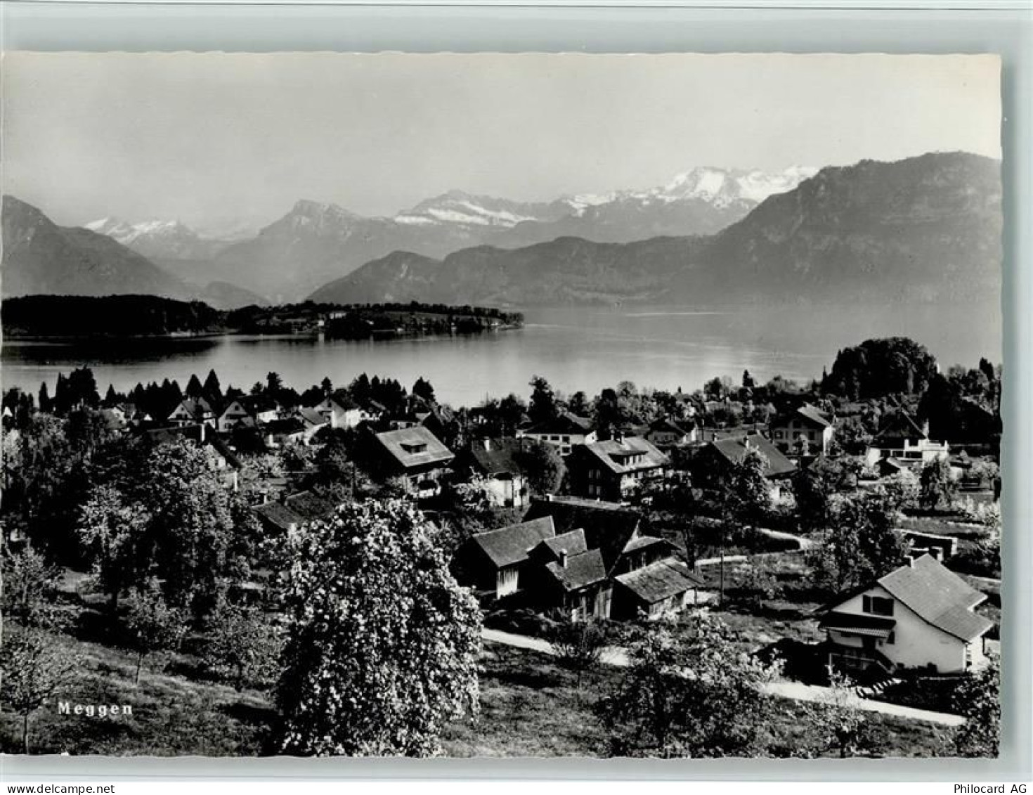 6045 Meggen - 11058244