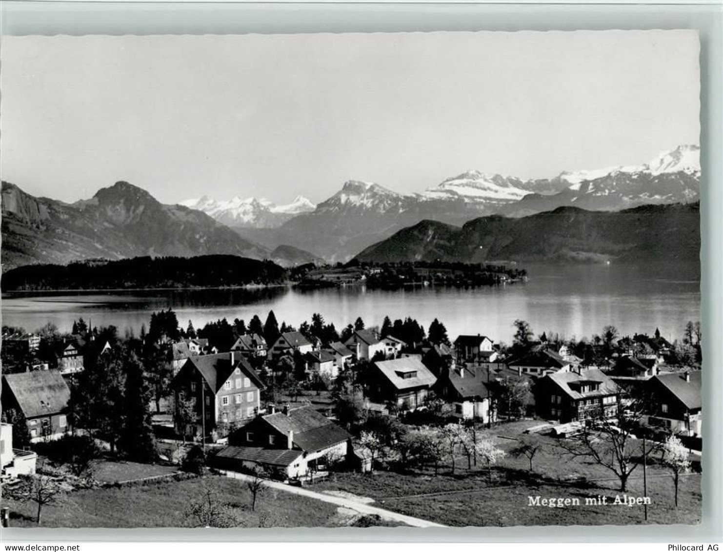 6045 Meggen - mit Alpen - 11088398