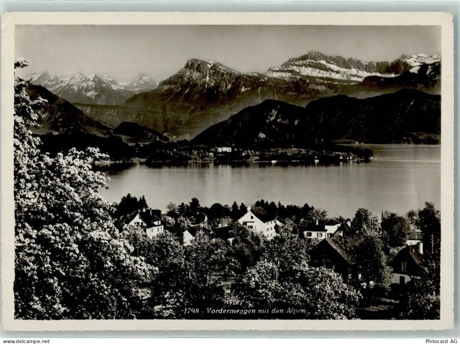 6045 Meggen - Vordermeggen mit See und Alpenkette - 10499441