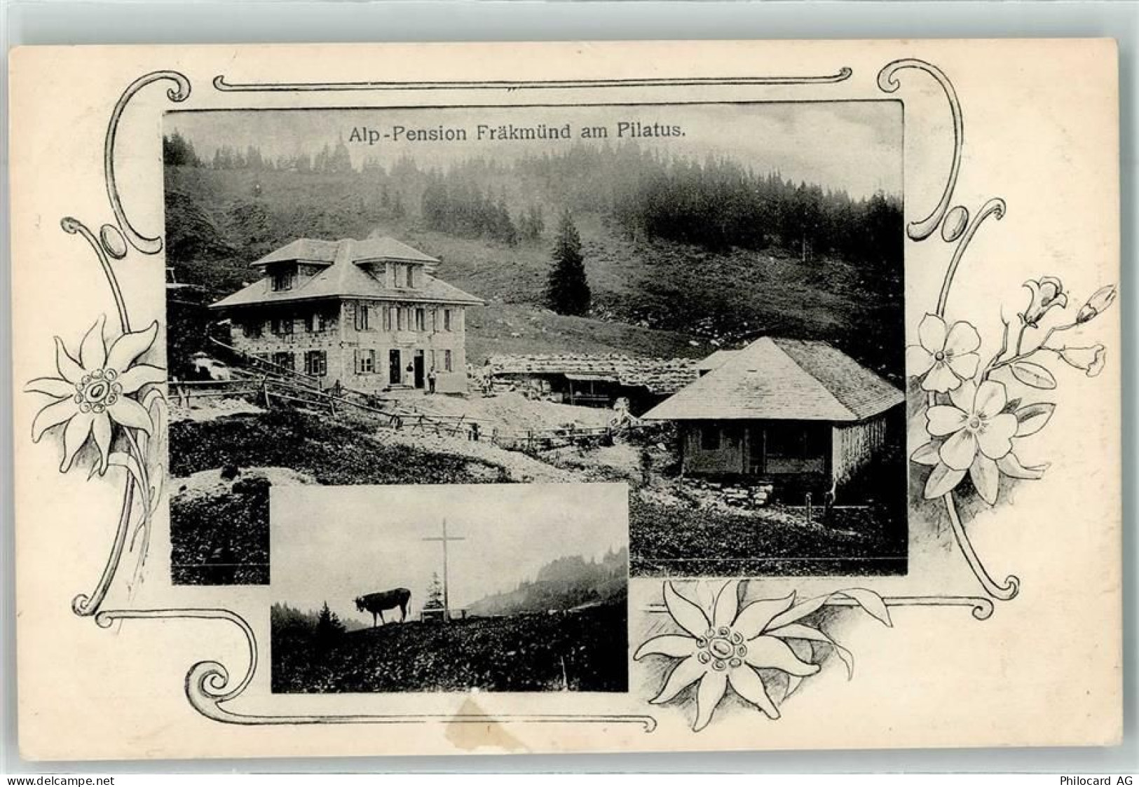 6048 Horw 1907 - Alp-Pension Fräkmünd am Pilatus Ort lt. Stempel - 13254906