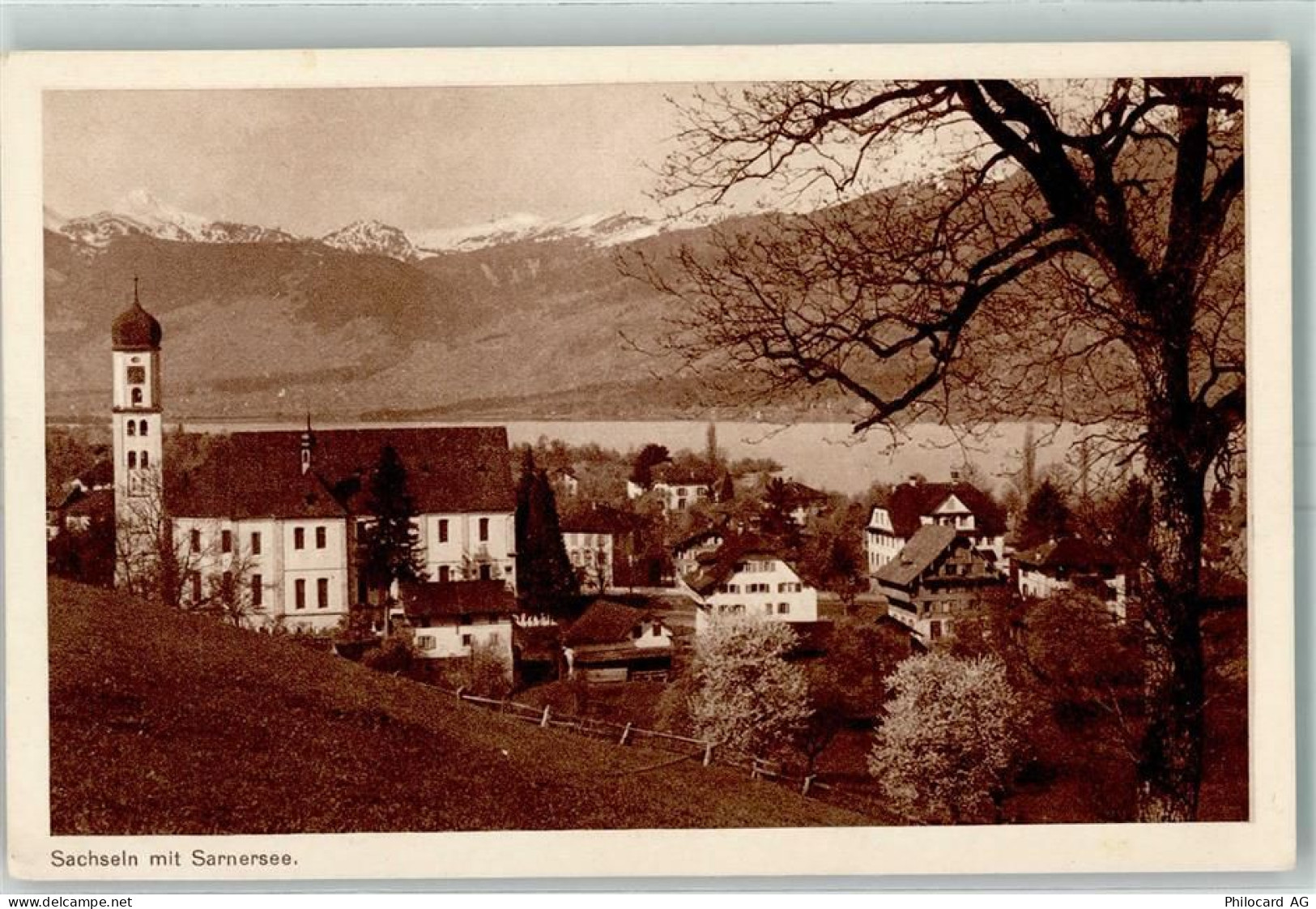 6072 Sachseln - 10446216