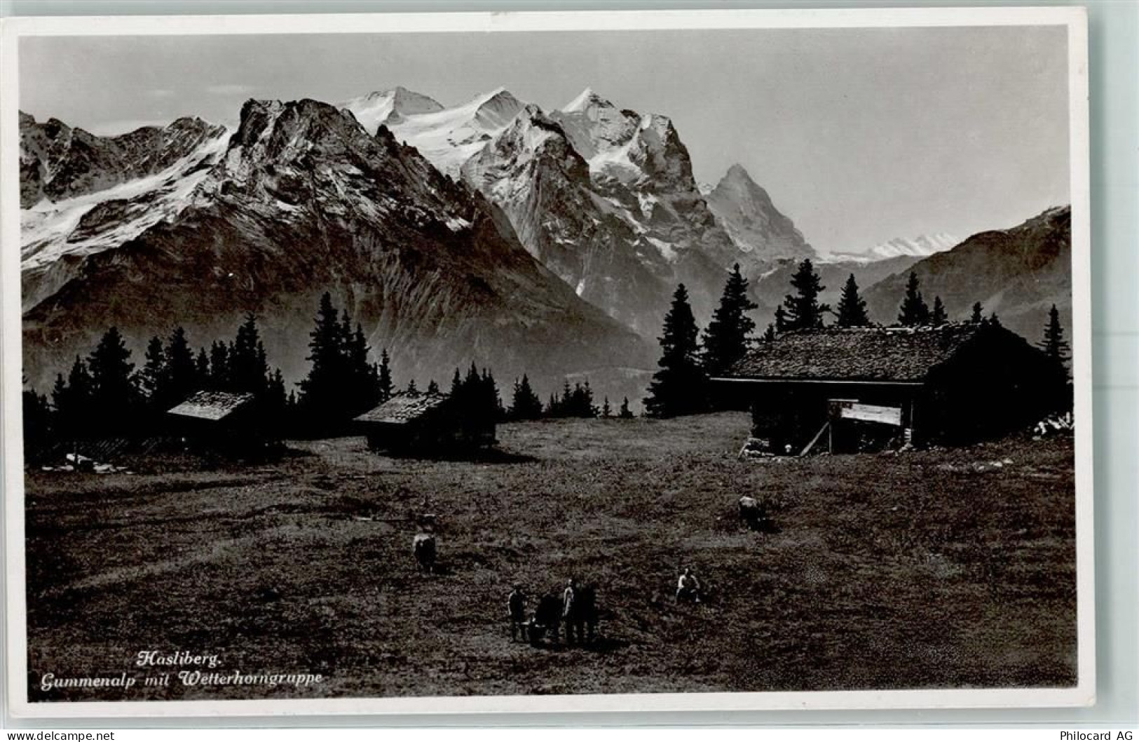 6083 Hasliberg Hohfluh - Hasliberg Gummenalp mit Wetterhorn Kühe - 10393389