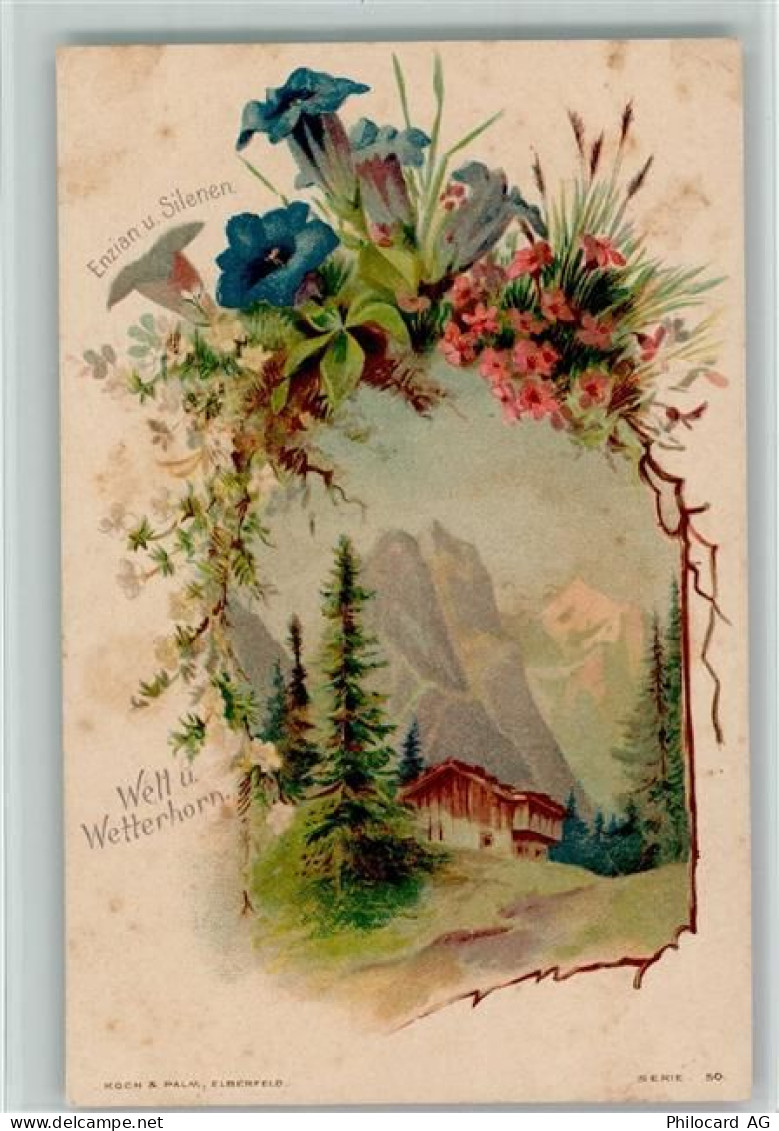 6083 Hasliberg Hohfluh Lithographie Enzian und Silenen Welt und Wetterho... - 13112859