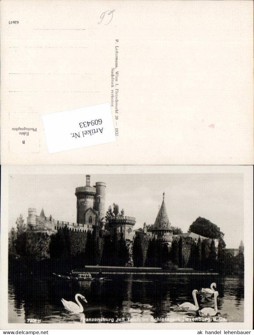 609433,Franzensburg Laxenburg Teich Schwan