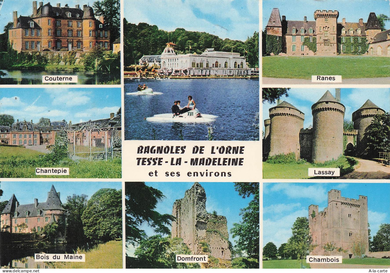 61 COURTOMER CHATEAU DE COURTOMER