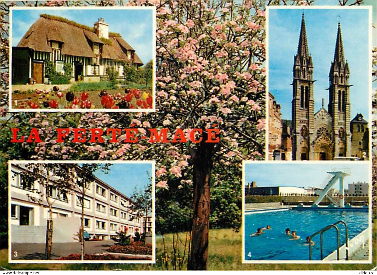 61 - La Ferté Macé - Multivues - Piscine - Fleurs - CPM - Voir Scans Recto-Verso