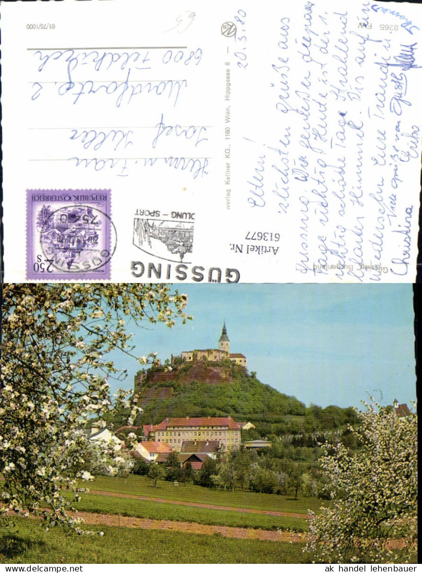 613677,Güssing Burgenland Ansicht m. Burg