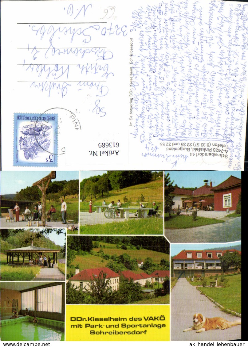 613689,Mehrbild Ak Pinkafeld Schreibersdorf Wiesfleck DDr. Kieselheim VAK&Ouml; Hund Halle