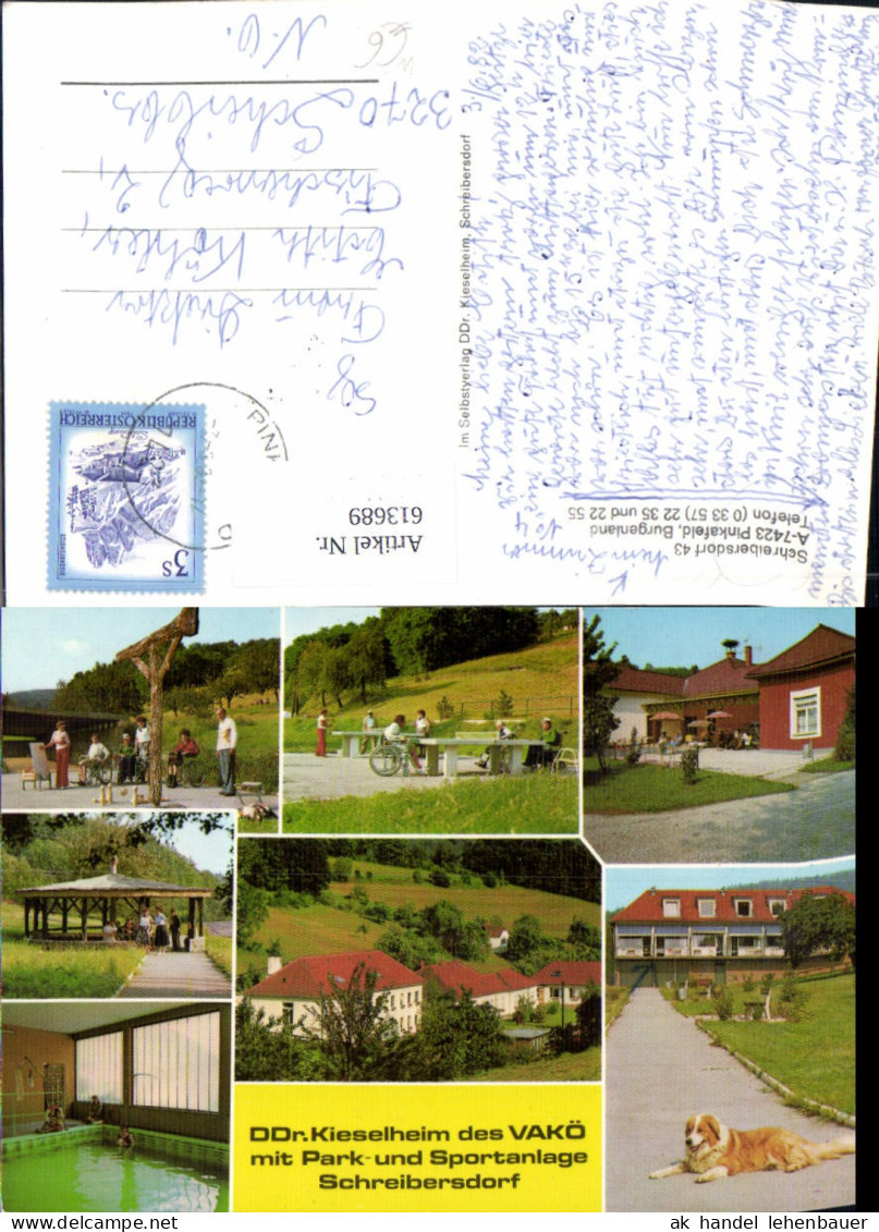 613689,Mehrbild Ak Pinkafeld Schreibersdorf Wiesfleck DDr. Kieselheim VAKÖ Hund Hallenbad