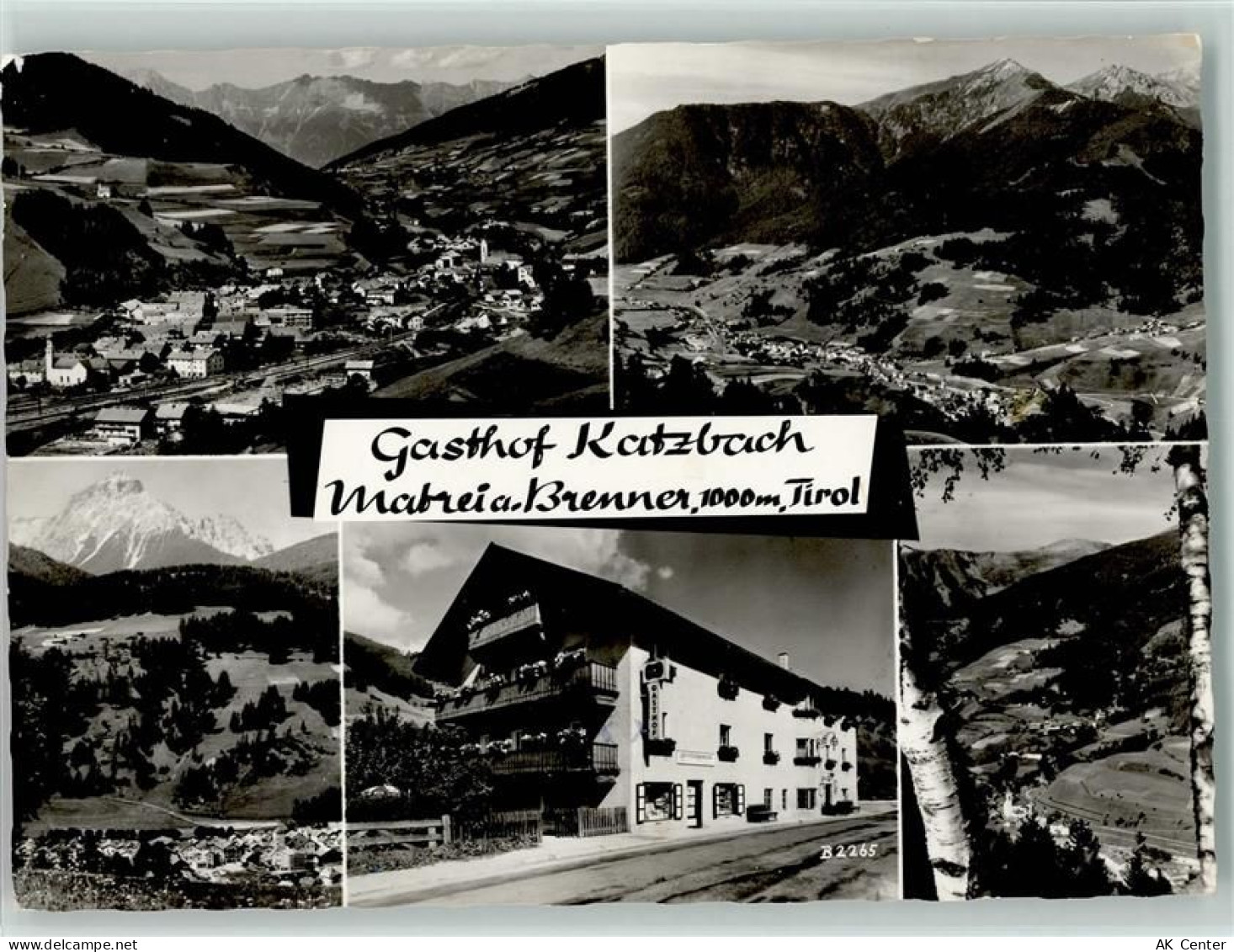 6143 Matrei am Brenner - Gasthof Katzbach Mehrfachaufnahme - 10060555