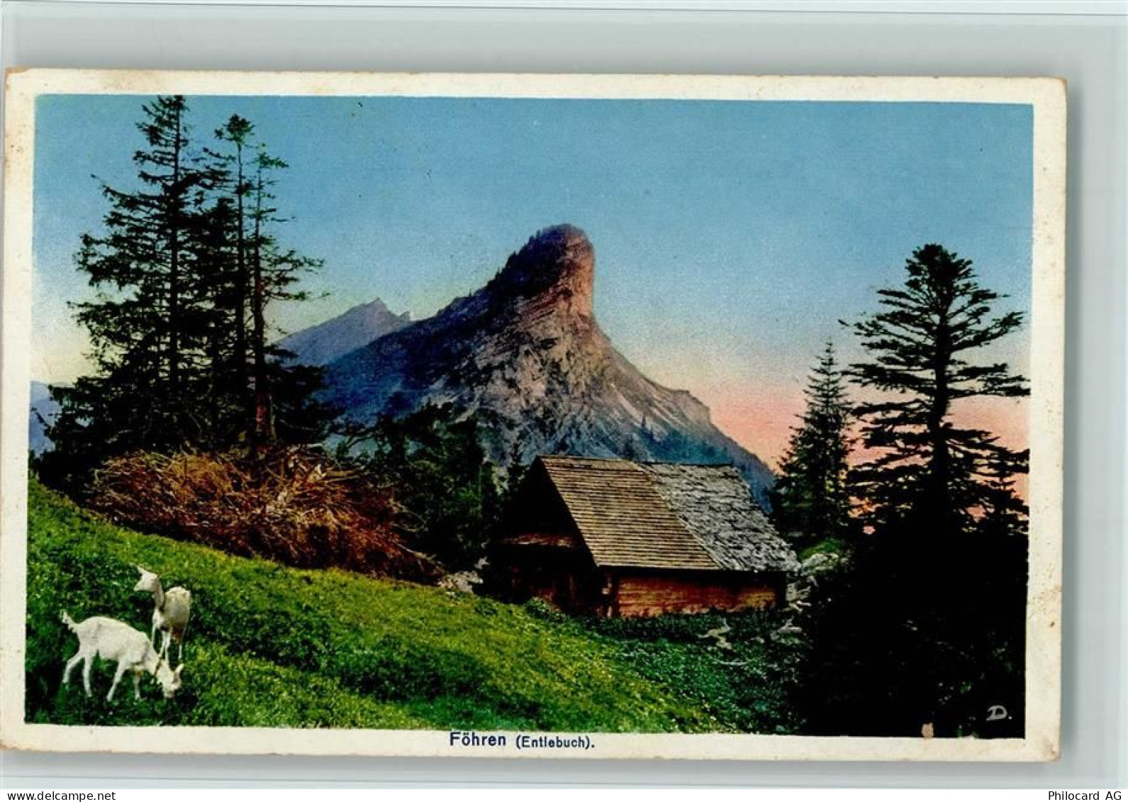 6162 Entlebuch - Föhren Ebnistettenfluh Geissen - 11052861