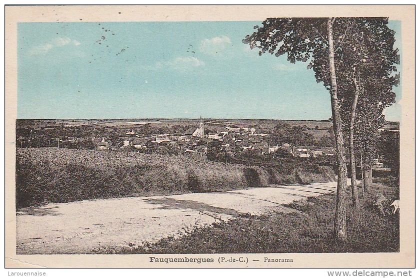 62 - FAUQUEMBERGUES - Panorama