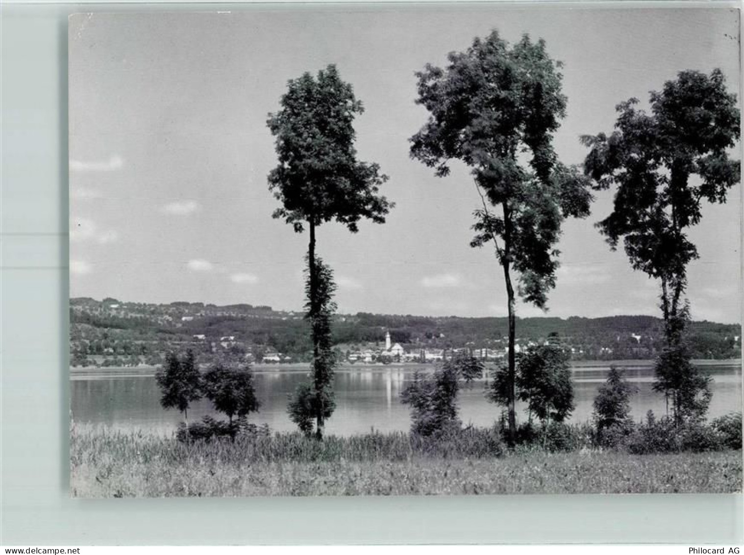 6204 Sempach 1962 - 10390651