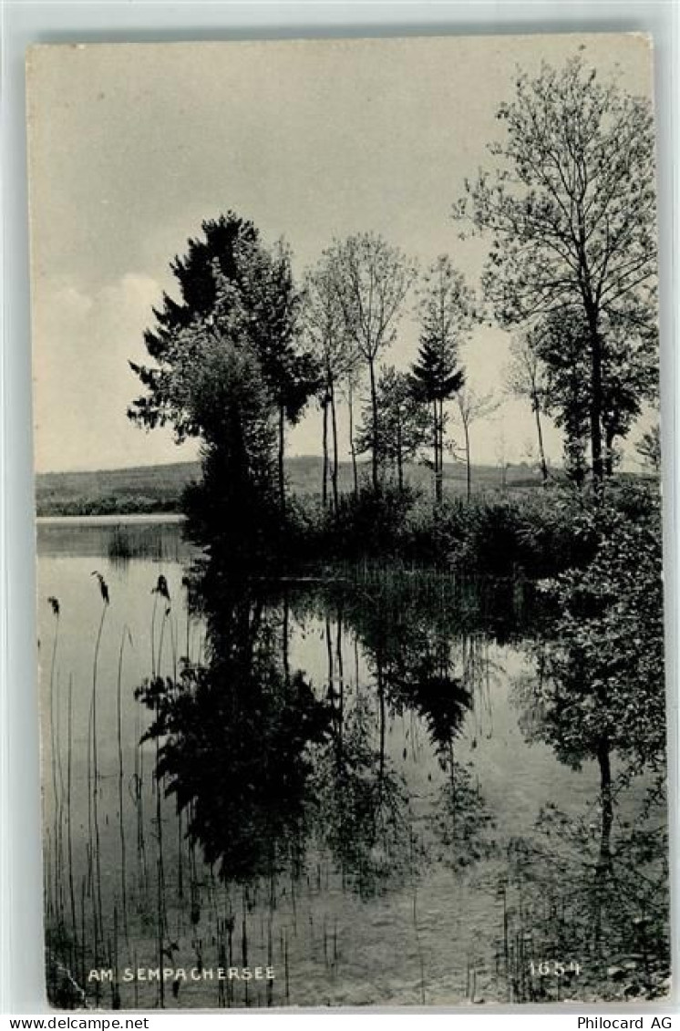 6204 Sempach Gebrauchsspuren Sempachersee - 39374508