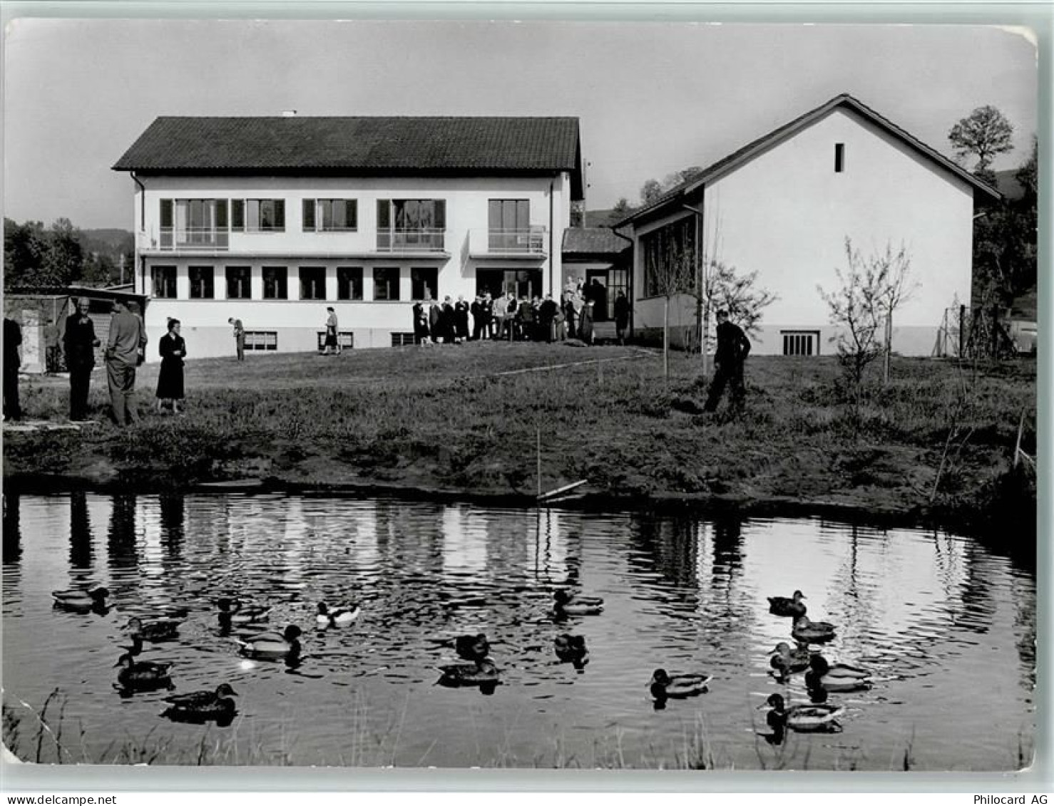 6204 Sempach - Vogelwarte Enten Besucher Werbung Durisol Maurewerk - 11051919