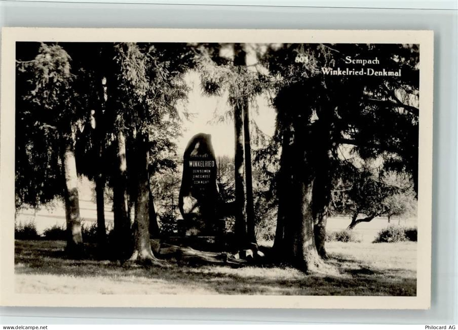 6204 Sempach - Winkelried-Denkmal - 11062394