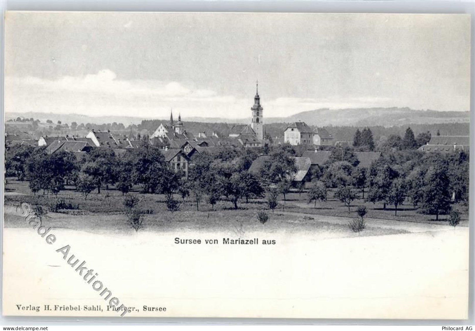 6210 Sursee - 51279599