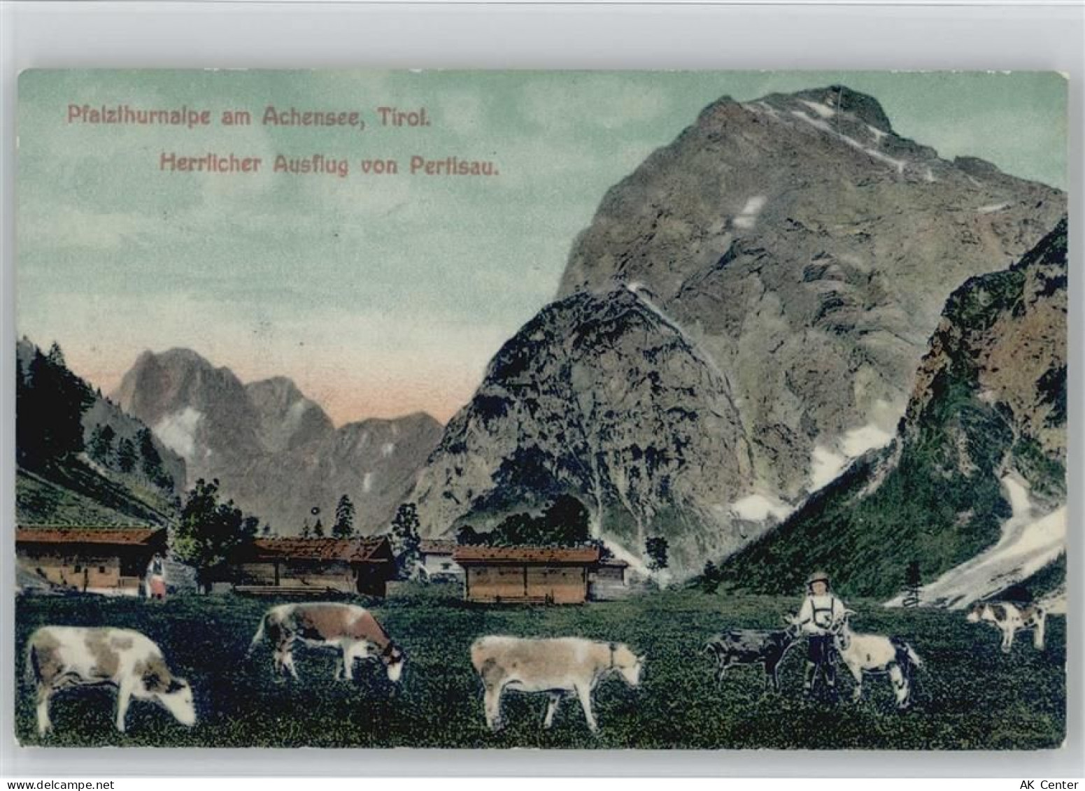 6212 Pertisau - Pfalzhurnalpe Achensee - 10040271