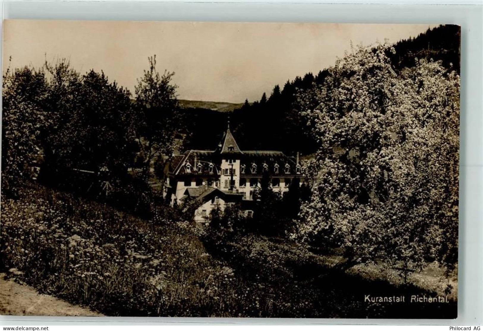 6263 Richenthal - 10203010