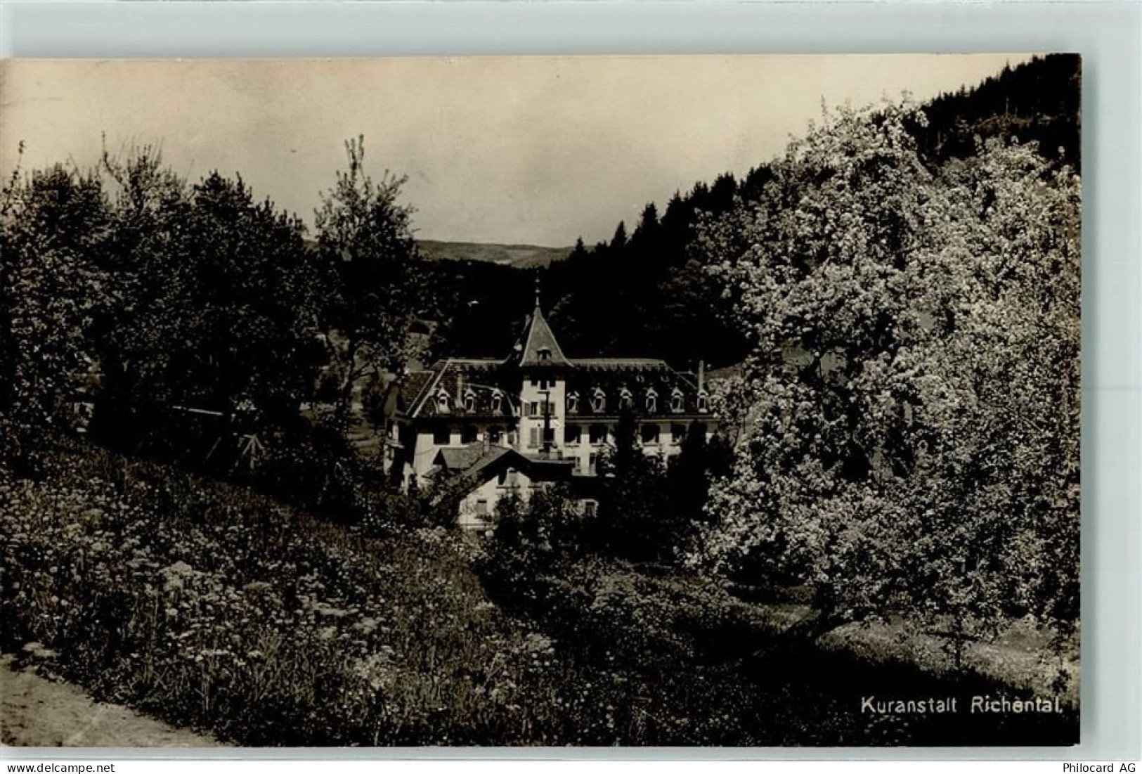 6263 Richenthal - 10203019