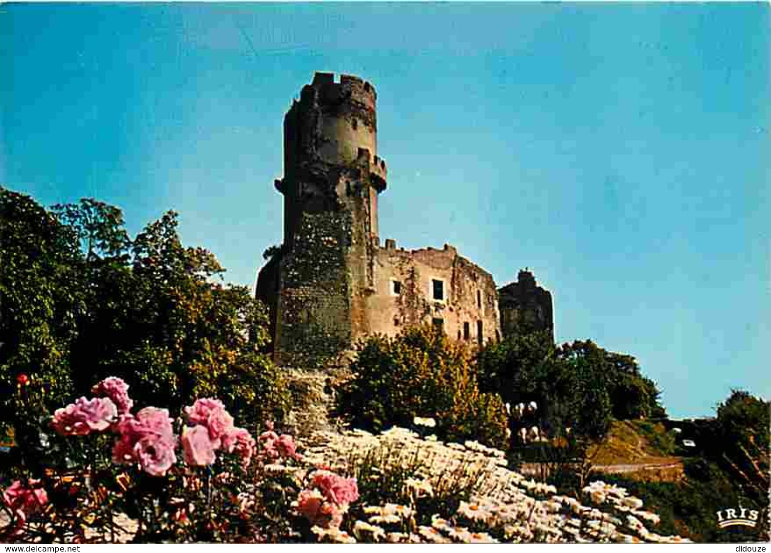 63 - Volvic - Le Château de Tournoel - CPM - Voir Scans Recto-Verso