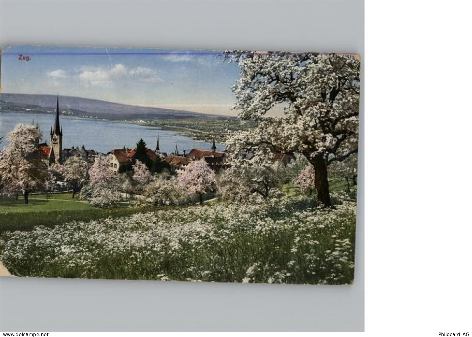 6300 Zug Zugo - 50333429
