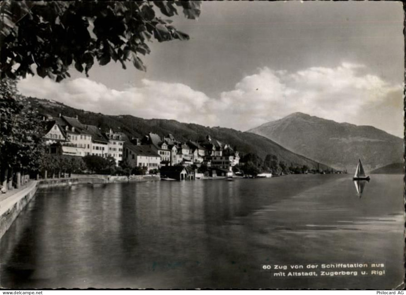 6300 Zug Zugo - 50470398