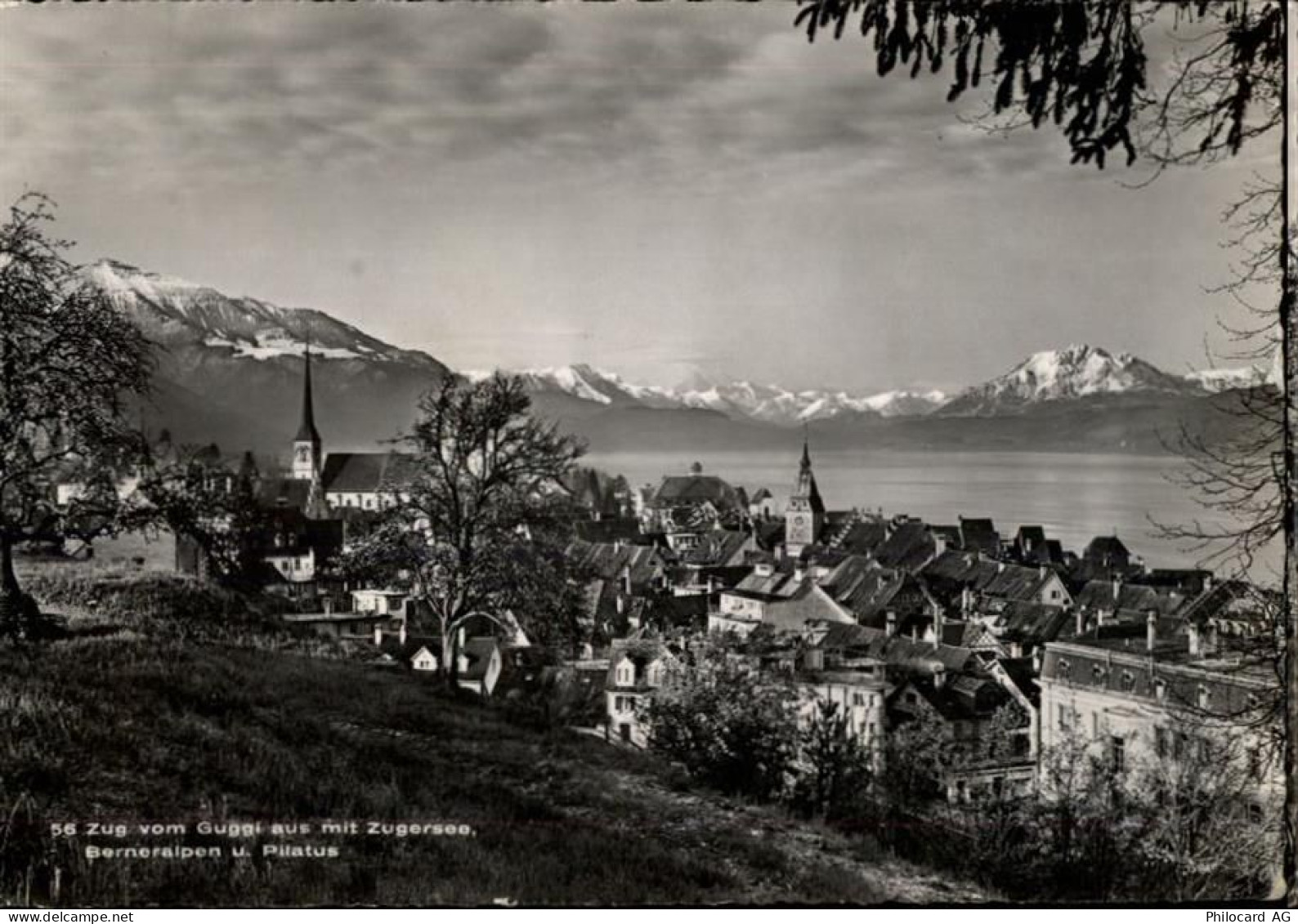 6300 Zug Zugo - 50470399