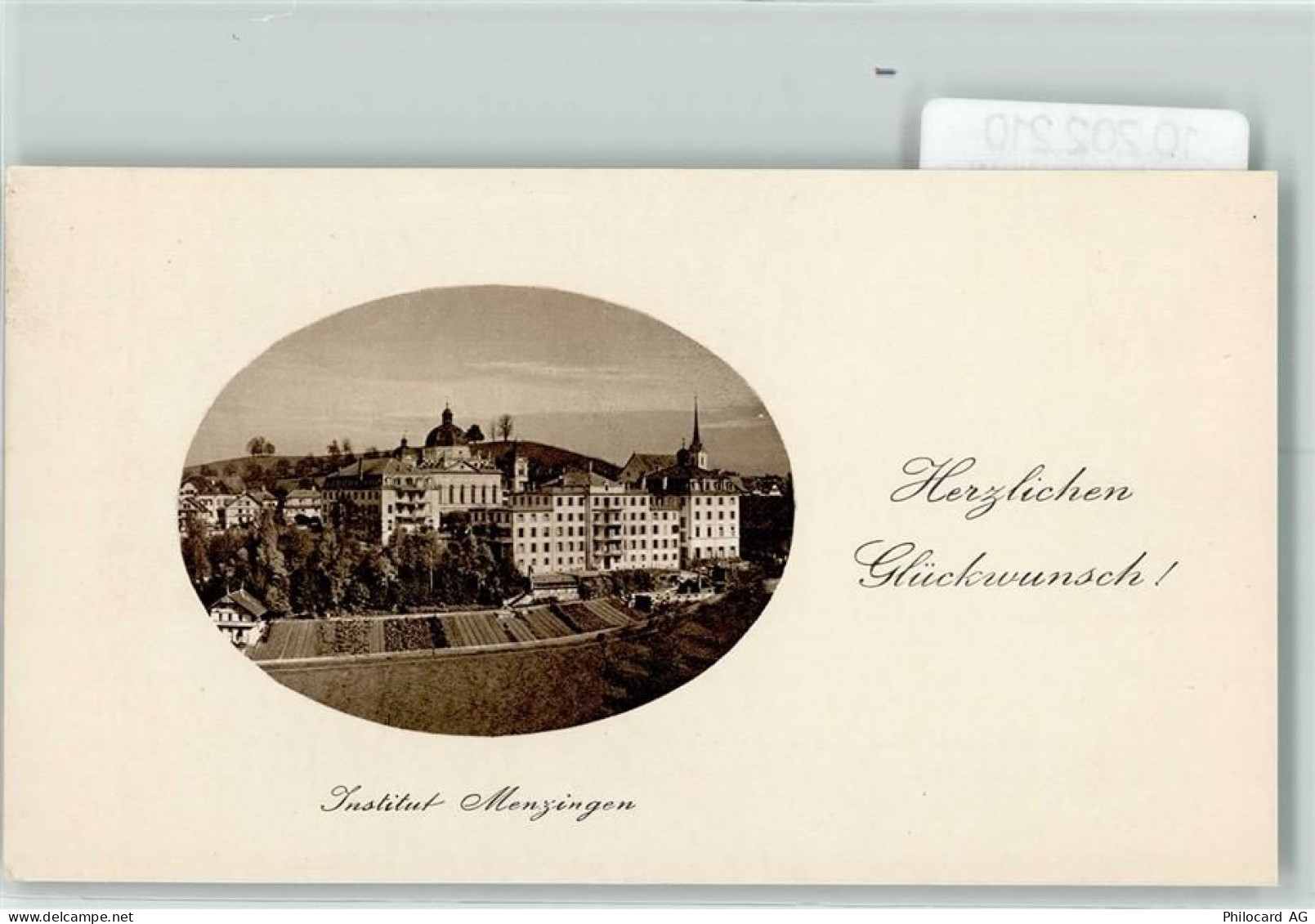 6313 Menzingen - 10202210