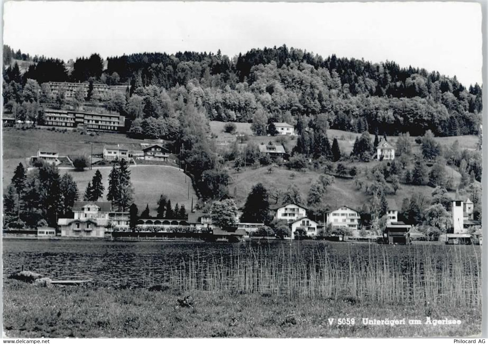 6314 Unterägeri - Ägerisee - 50678031