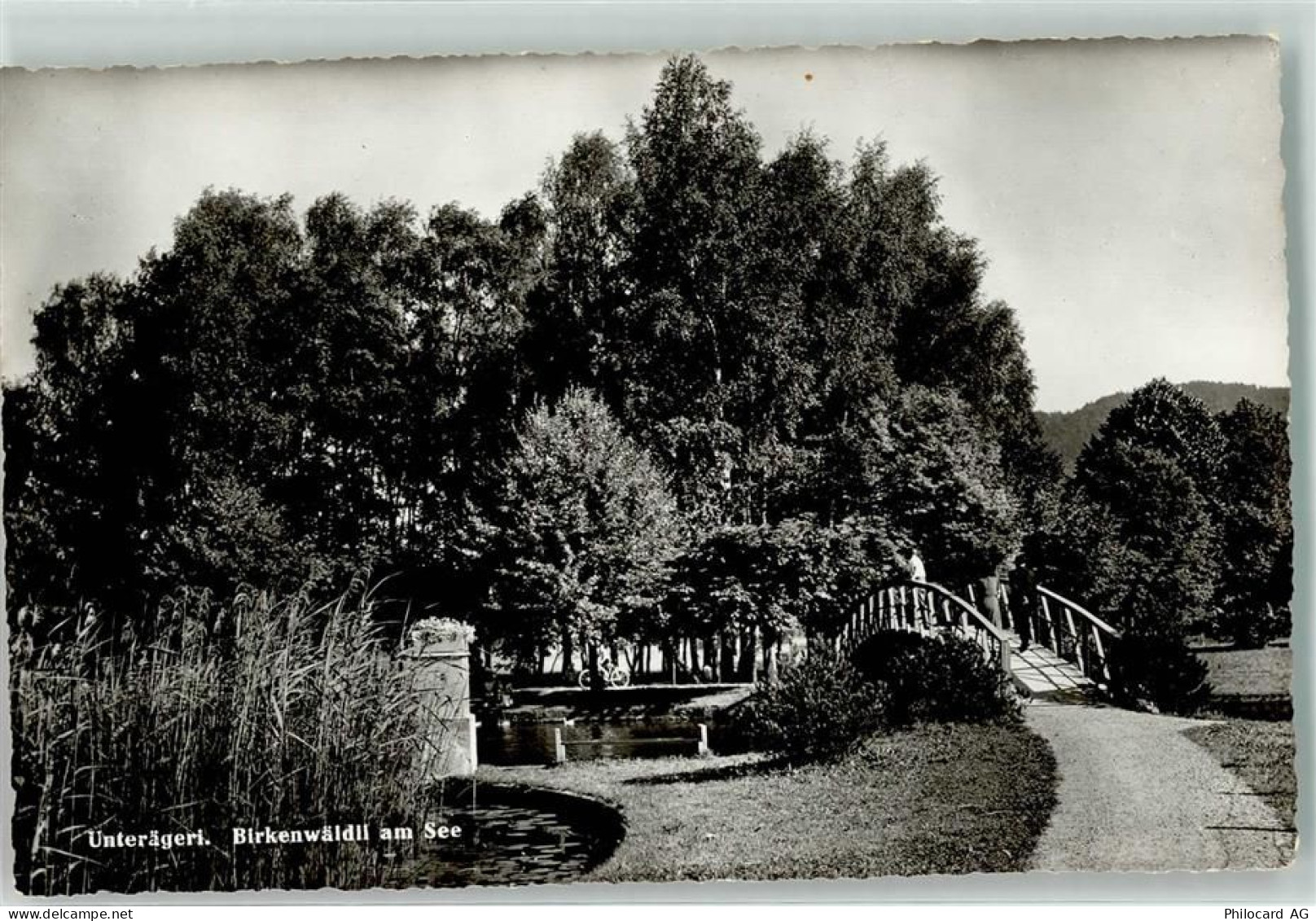 6314 Unterägeri - Birkenwädli - 39495398