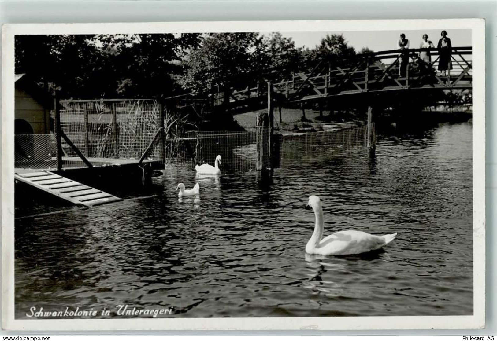 6314 Unterägeri - Schwankolonie See Brücke - 10394098