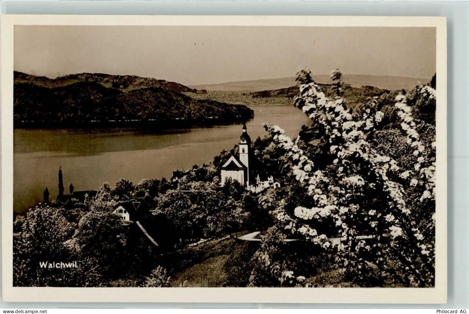 6318 Walchwil - 10202186