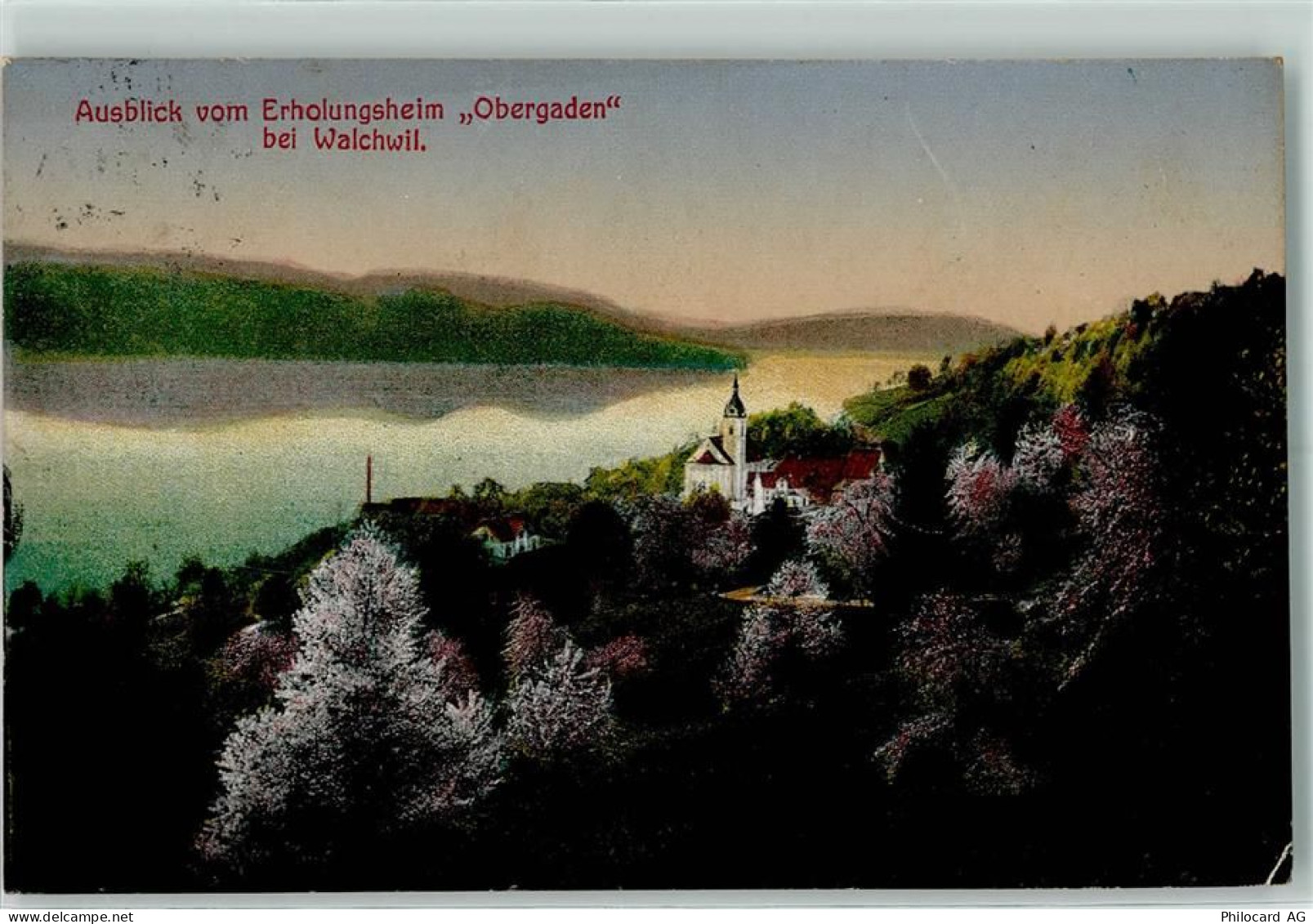 6318 Walchwil - Ausblick vom Erholungsheim Obergaden - 13123445
