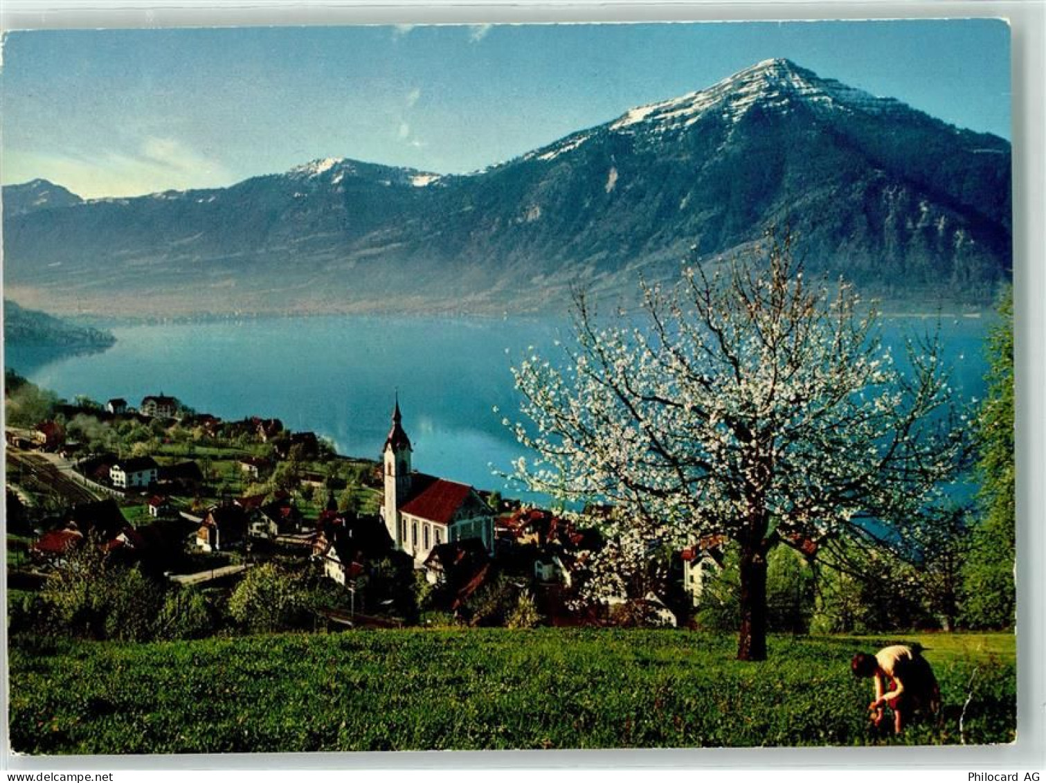 6318 Walchwil - Rigi - 39490586