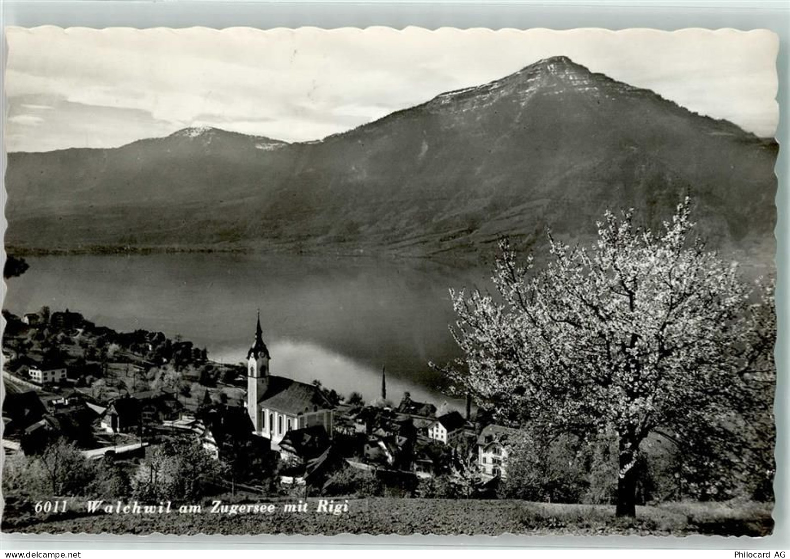 6318 Walchwil - Rigi - 39495407