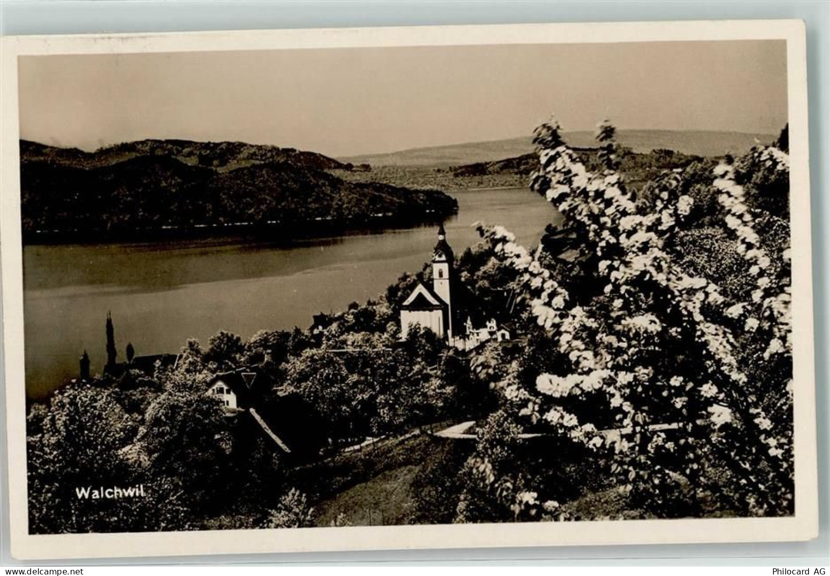 6318 Walchwil - Zugersee - 39495418