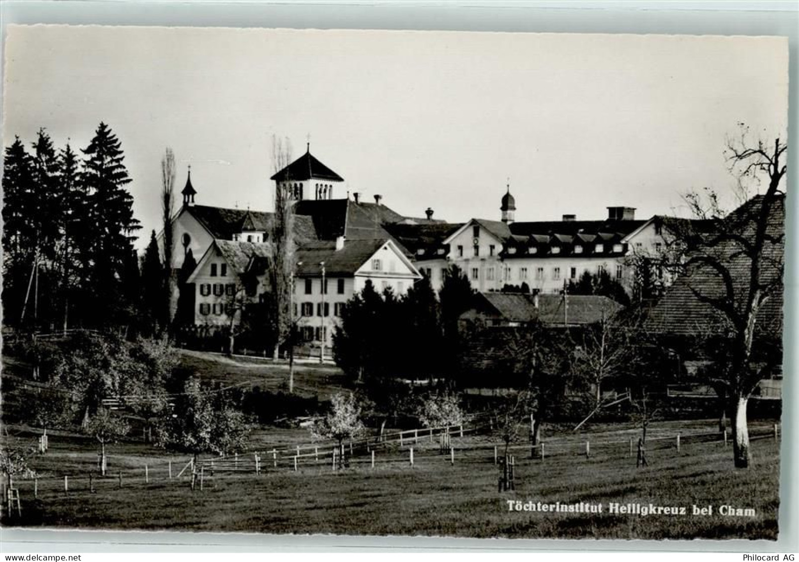 6330 Cham - 10202254