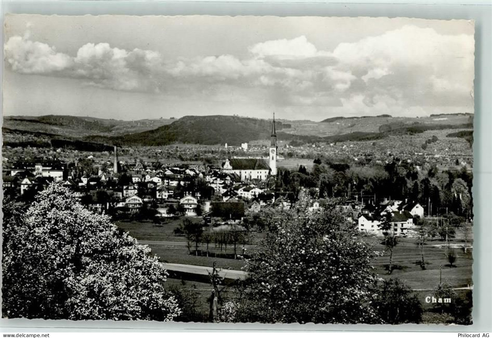 6330 Cham - 10202269